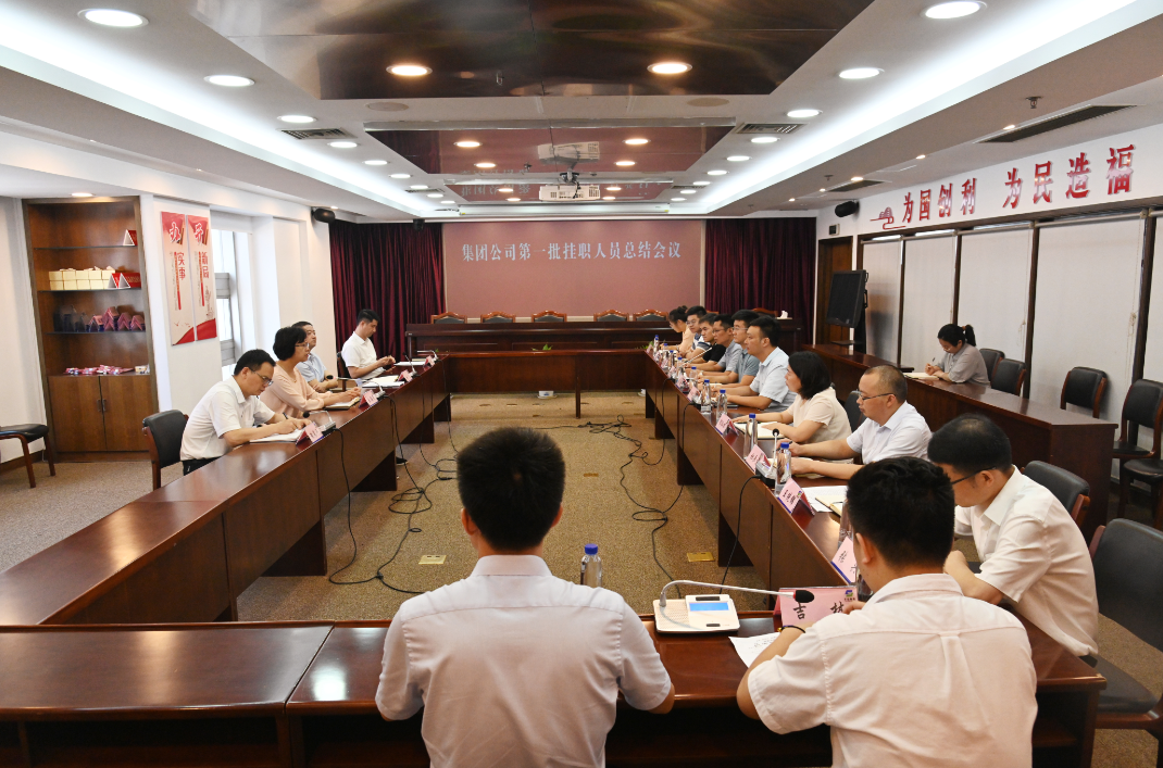 蘇鹽集團(tuán)黨委召開第一批掛職人員總結(jié)會議 蘇鹽集團(tuán)黨委召開第一批掛職人員總結(jié)會議
